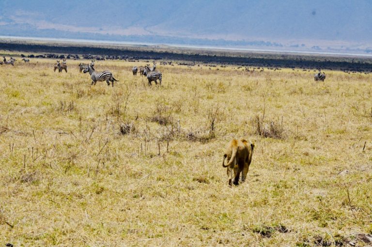 Tanzania Yoga Teacher Training