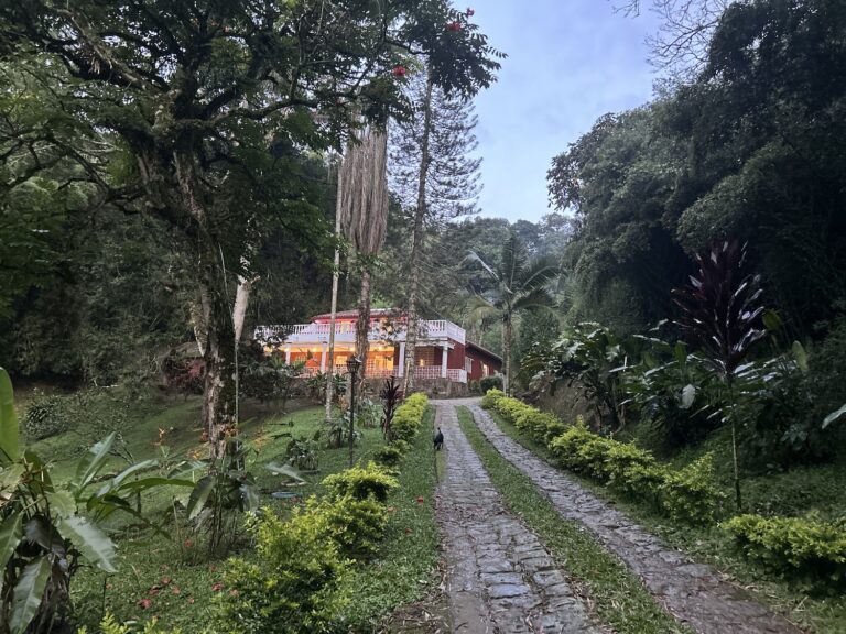 Silent meditation and yoga retreat in Colombia