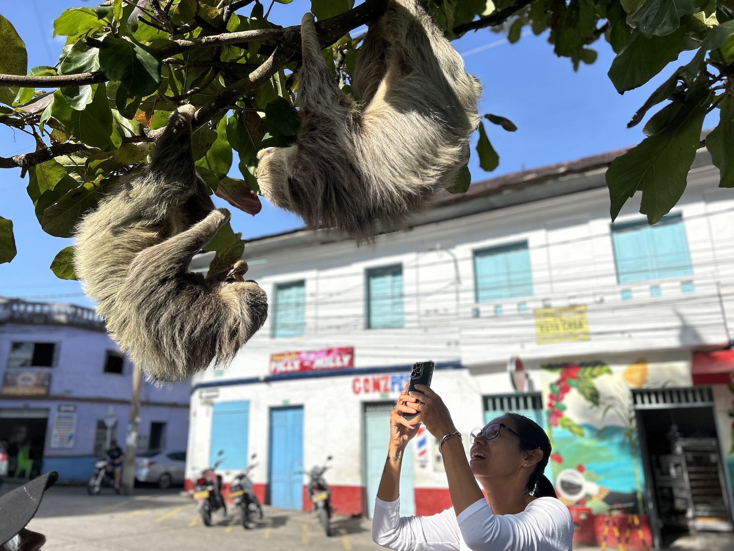 Yoga and Wellness Retreat in Colombia