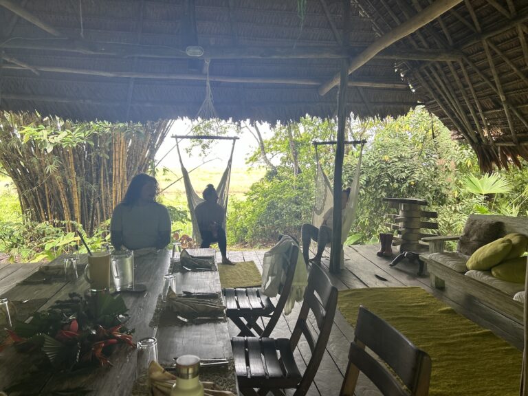 Yoga and Ayahuasca retreat in the Amazonas